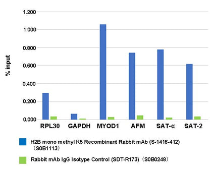 Histone H2B (mono methyl K5) Recombinant Rabbit mAb (S-1416-412)