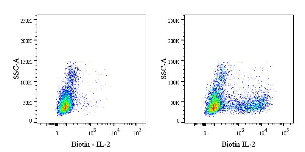 Biotin Rat Anti-Human IL-2 Antibody (MQ1-17H12)
