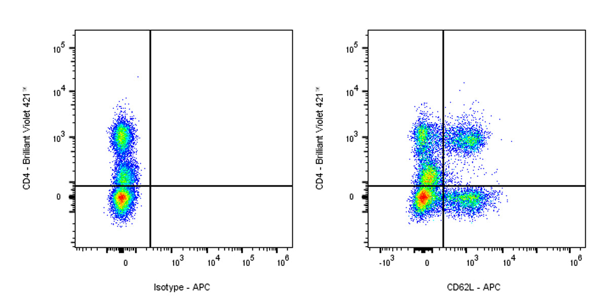 APC Mouse Anti-Human CD62L Antibody (S-937-77)