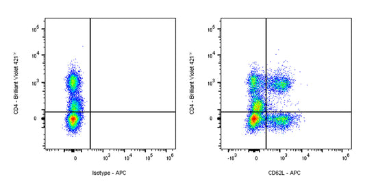APC Mouse Anti-Human CD62L Antibody (S-937-77)