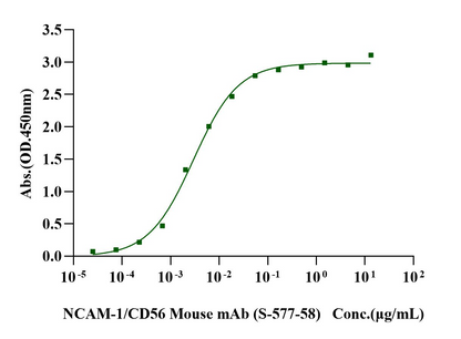 NCAM-1/CD56 Fc Chimera Protein, Human