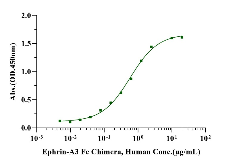 EphA5 His Tag Protein, Human