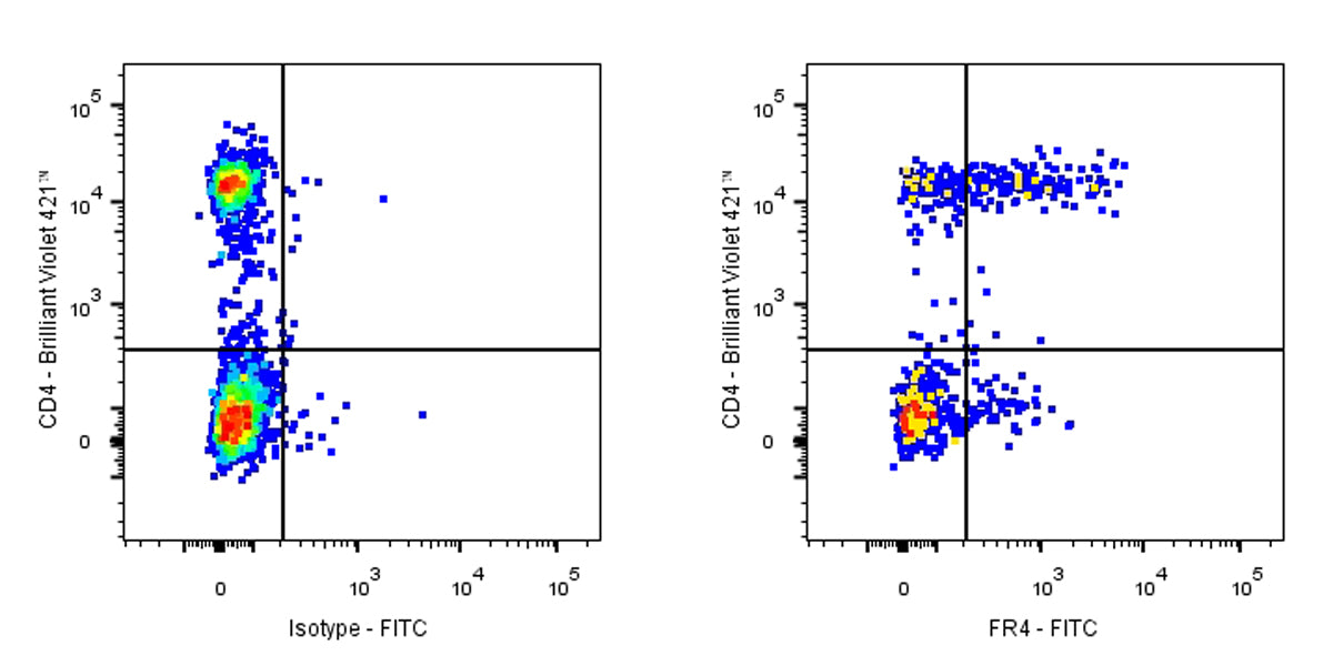 FITC Rat Anti-Mouse FR4 Antibody (S-R705)