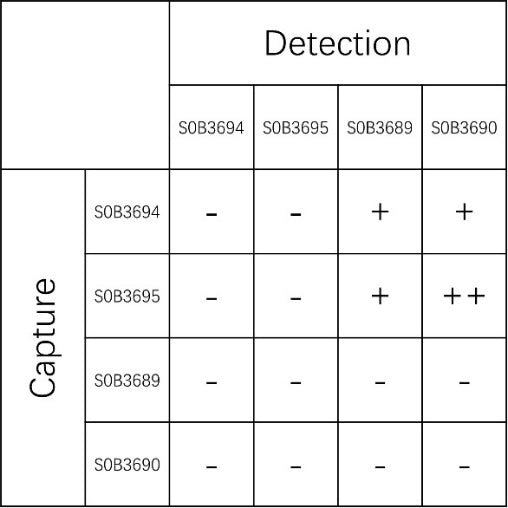 Rat C5a Recombinant mAb (SDT-2892-32)