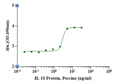IL-10 Protein, Porcine