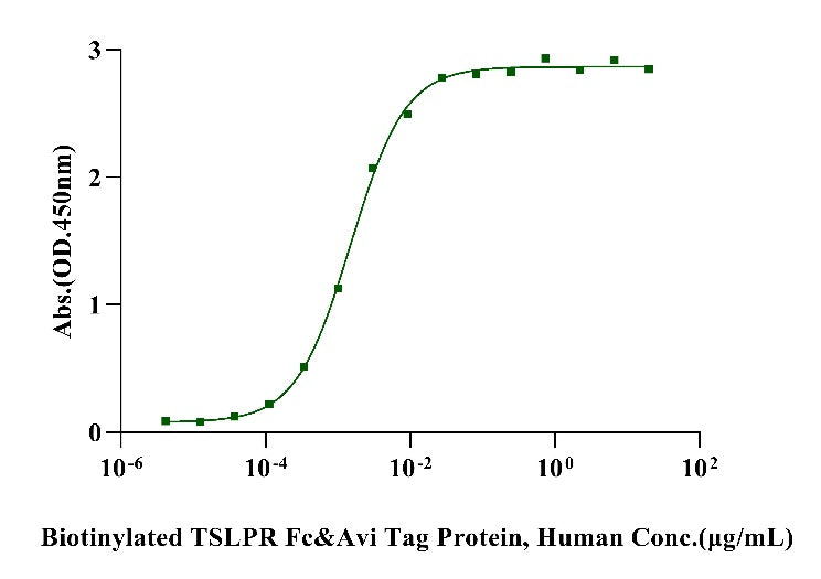 Biotinylated TSLPR Fc&Avi Tag Protein, Human