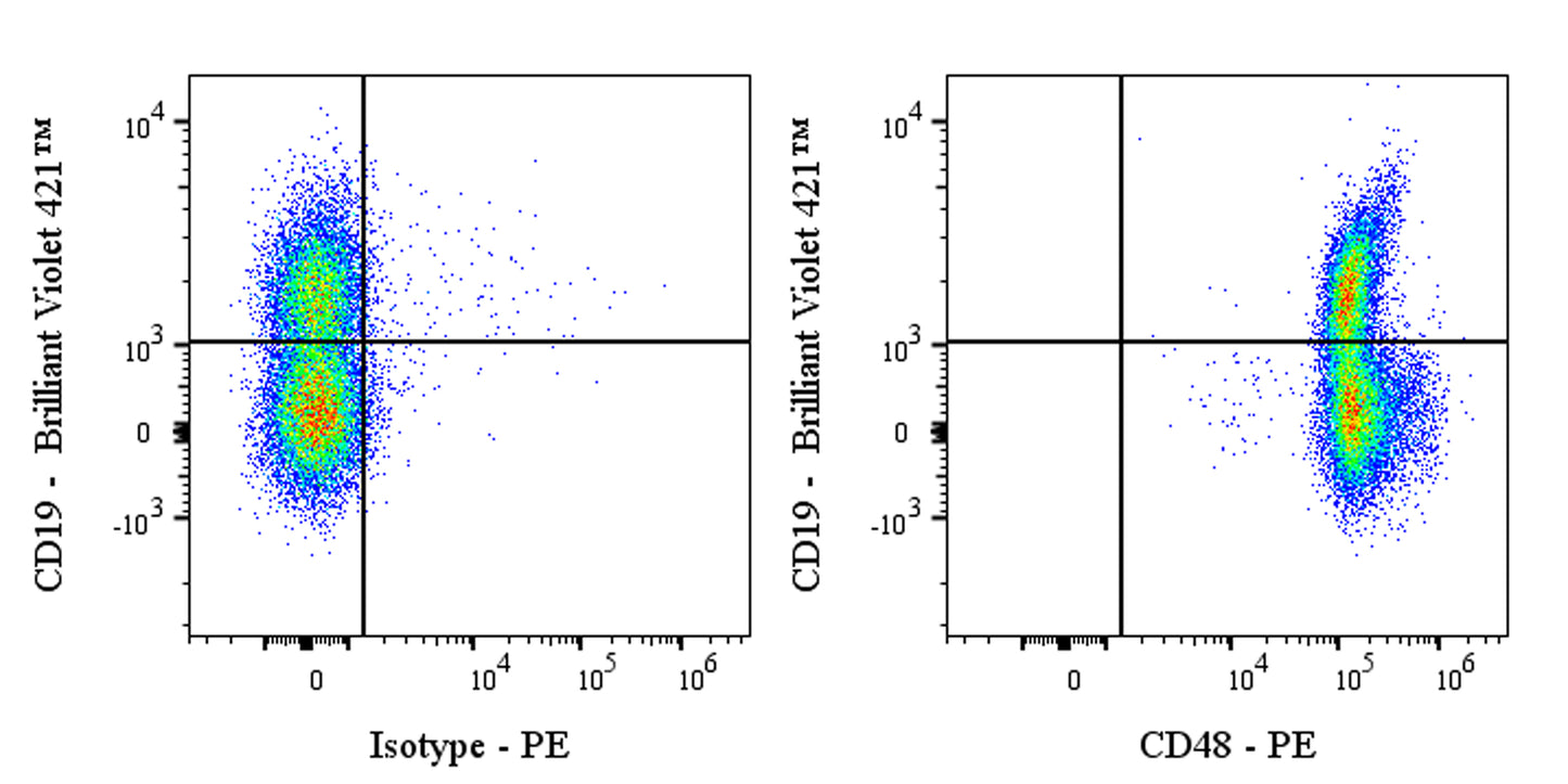 PE Armenian hamster Anti-Mouse CD48 Antibody (HM48-1)