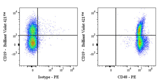PE Armenian hamster Anti-Mouse CD48 Antibody (HM48-1)