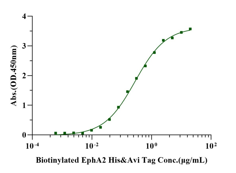 Ephrin-A1 His Tag Protein, Human