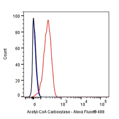 Acetyl-CoA Carboxylase Recombinant Rabbit mAb (S-2220-96)