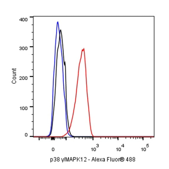 p38 gamma/MAPK12 Recombinant Rabbit mAb (S-1253-50)