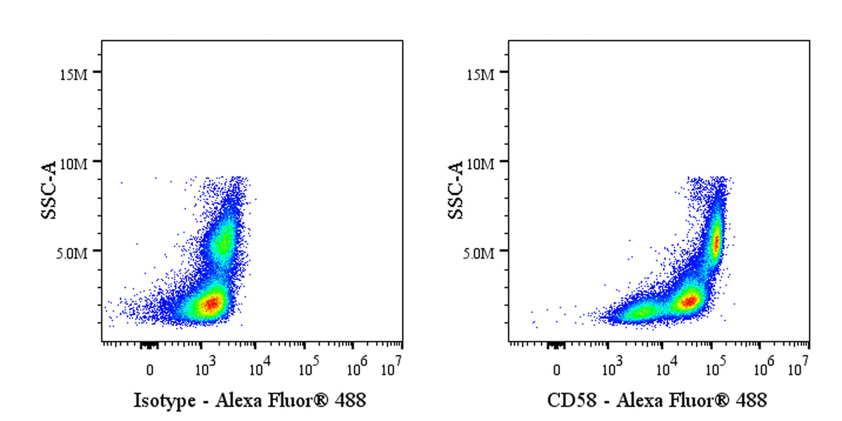 Alexa Fluor® 488 Rabbit Anti-Human CD58 Antibody (S-1046-14)