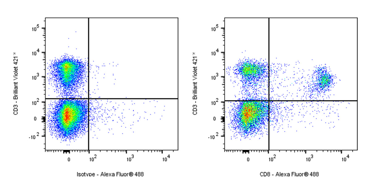 Alexa Fluor®488 Rat Anti-Mouse CD8a Antibody (53-6.7)