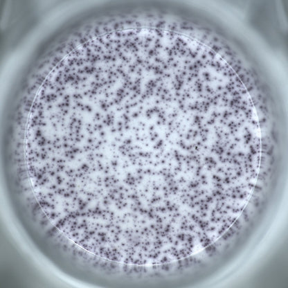Human IFN-γ（ALP）OneStep ELISpot Kit