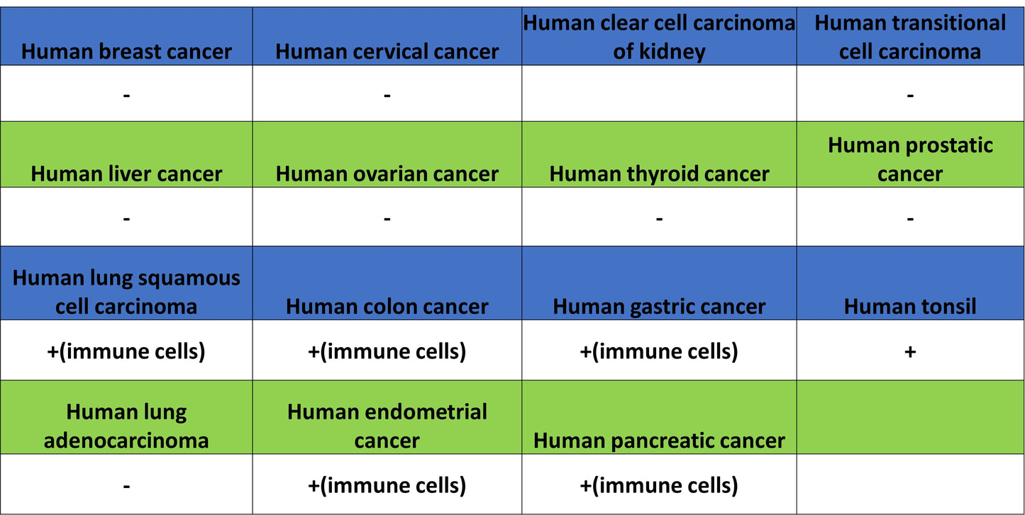 CD127 Recombinant Rabbit mAb (S-4826)