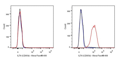Goat Anti-Rabbit IgG (H+L) (min X Hu Sr Prot), F(ab')2 Fragment (Alexa Fluor® 488 Conjugate)