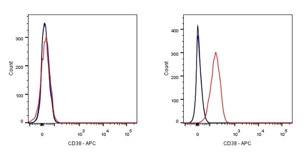 APC Rabbit Anti-Human CD38 Antibody (S-031-45-2)
