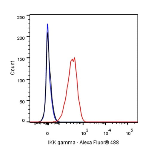 IKK gamma Recombinant Rabbit mAb (S-1359-118)