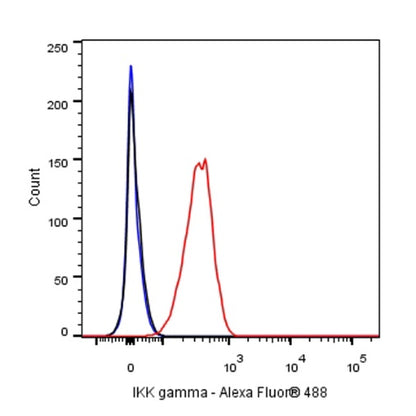 IKK gamma Recombinant Rabbit mAb (S-1359-118)