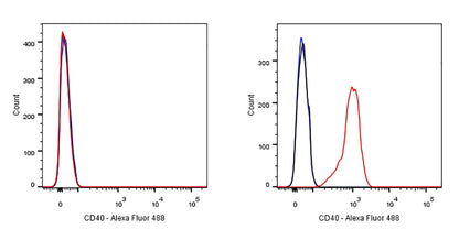 CD40 Recombinant Rabbit mAb,PBS Only (SDT-145-45)