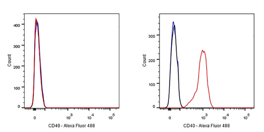 CD40 Recombinant Rabbit mAb,PBS Only (SDT-145-45)