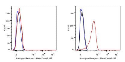 Androgen Receptor Recombinant Rabbit mAb (SDT-R157)