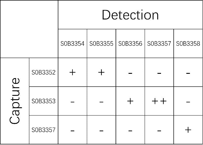 IL-15 Recombinant Rabbit mAb (SDT-1596-25)