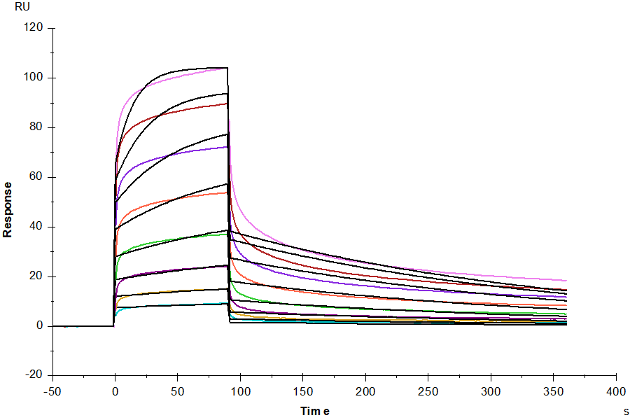 FGF-R4/CD334 His Tag Protein, Human