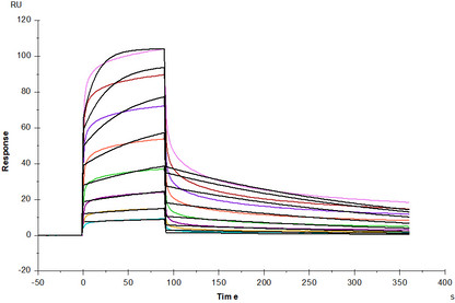 FGF-R4/CD334 His Tag Protein, Human