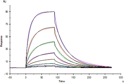 CD200R His Tag Protein, Human