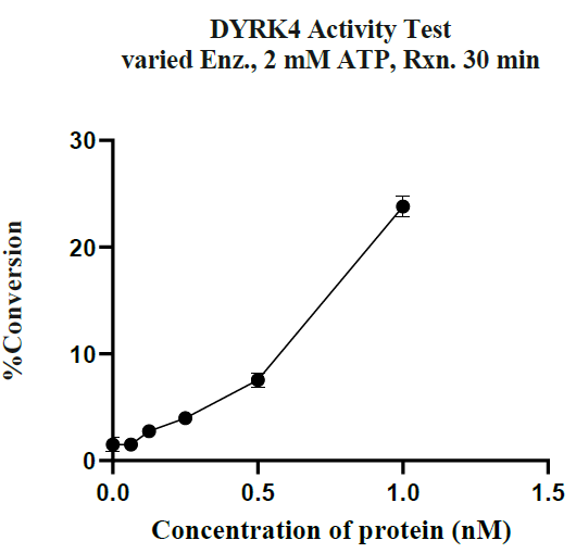 DYRK4 GST Tag Protein, Human