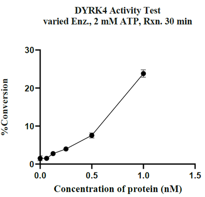 DYRK4 GST Tag Protein, Human