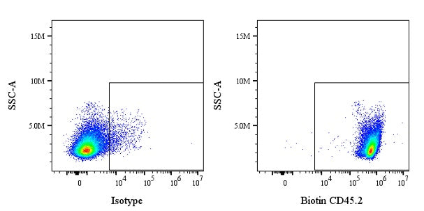 Biotin Mouse Anti-Mouse CD45.2 Antibody (104.2)