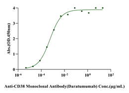 CD38 His Tag Protein, Human