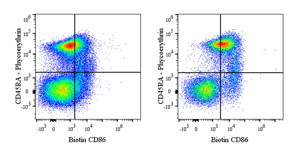 Biotin Mouse Anti-Rat CD86 Antibody (24F)