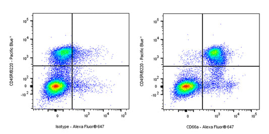 Mouse Anti-Mouse CD66a Antibody (S-R677)