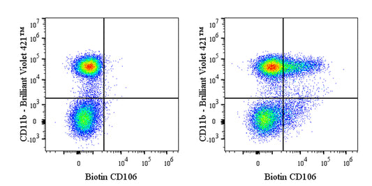 Biotin Rat Anti-Mouse CD106 Antibody (S-R733)