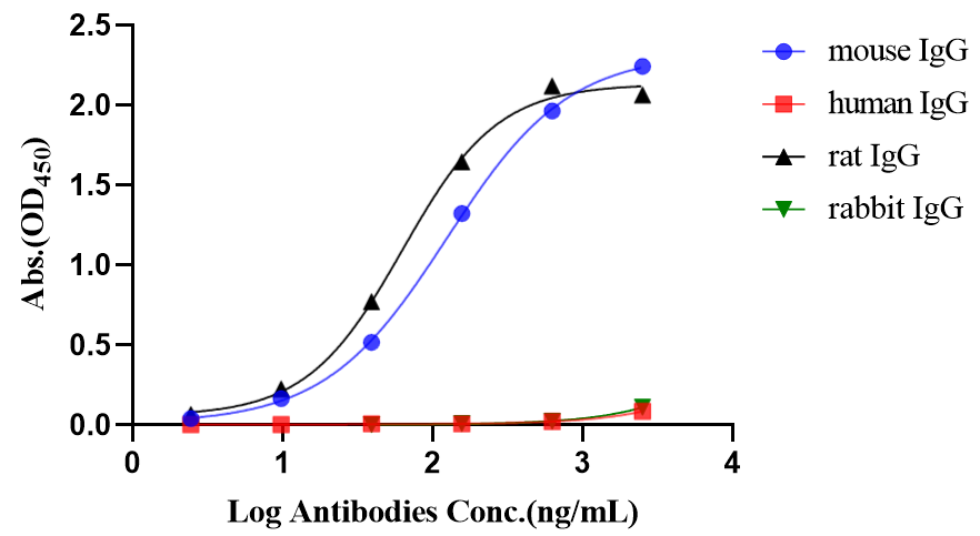 Rabbit Anti-Mouse/Rat IgG (Light chain specific) (HRP Conjugate)