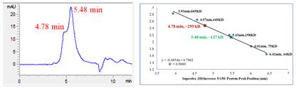 CDK17/Cyclin Y Protein