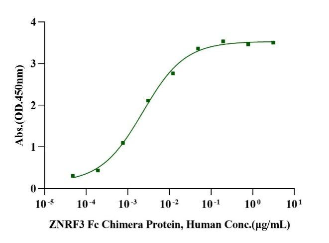 ZNRF3 Fc Chimera Protein, Human