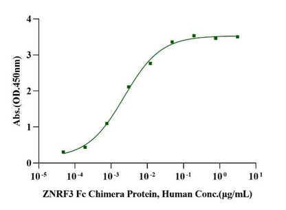 ZNRF3 Fc Chimera Protein, Human