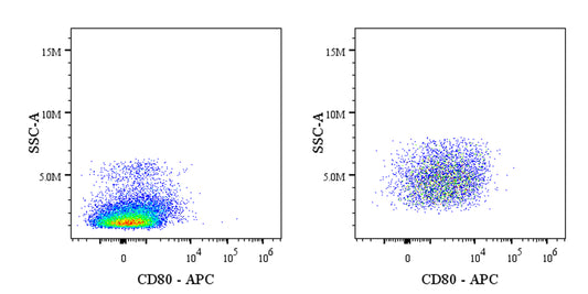 APC Armenian hamster Anti-Mouse CD80 Antibody (16-10A1)