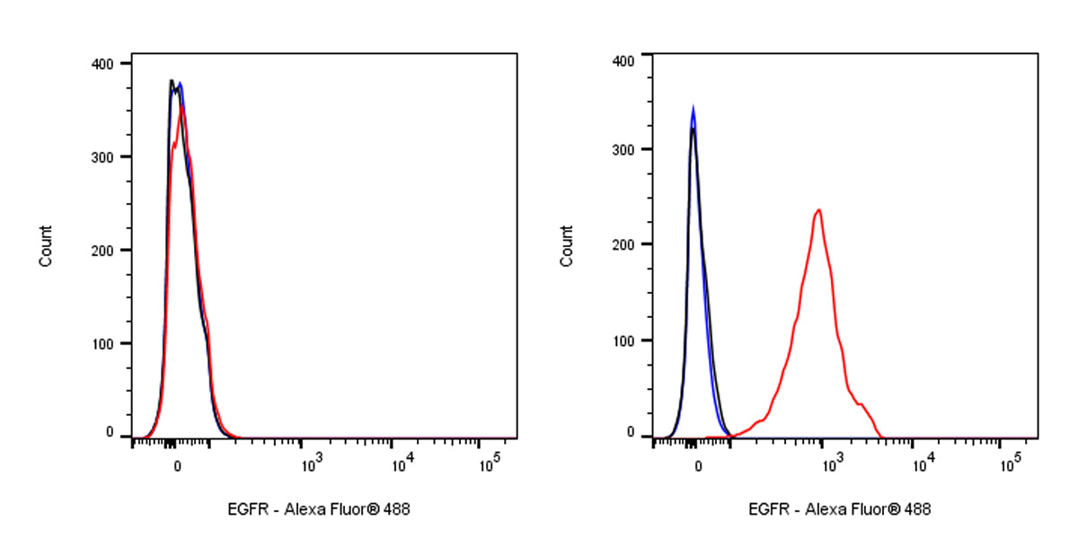 Mouse Anti-Human EGFR Antibody (S-SC033)