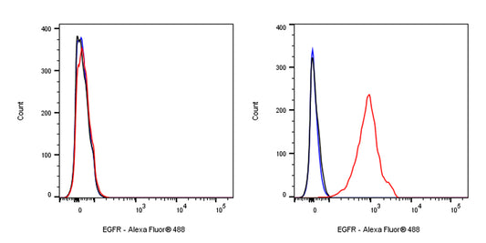 Mouse Anti-Human EGFR Antibody (S-SC033)
