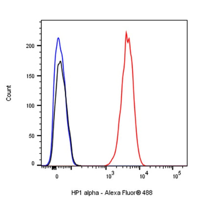 HP1α Recombinant Rabbit mAb (S-1462-53)