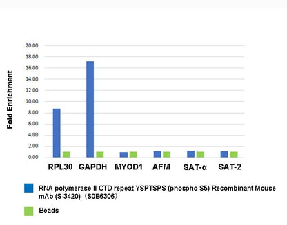 RNA polymerase II CTD repeat YSPTSPS (phospho S5) Recombinant Mouse mAb (S-3420)