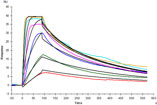 TSLP Protein, Human (For Cell Culture)