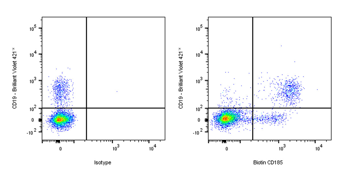 Biotin Mouse Anti-Human CD185 Antibody (S-R653)