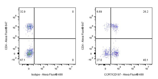 CCR7 Recombinant Rabbit mAb (S-999-29)