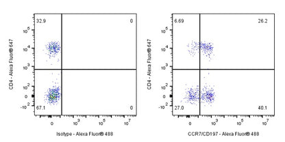 CCR7 Recombinant Rabbit mAb (S-999-29)
